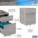Grey Rolling Locking Two Drawer Vertical Filing Cabinet