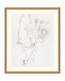 Botanical Study III
