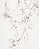 Botanical Study III