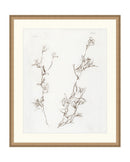 Botanical Study I