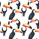 Fashionable Toucan Wallpaper Tasteful