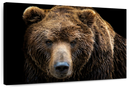 Far Eastern Brown Bear Wall Art
