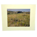 Nebraska Sandhills Photograph | 8 x 10 High Quality Image | 2 The Ends of the Earth