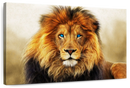 Blue Eyed Lion Wall Art