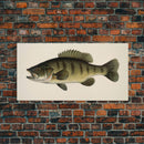 Bass Fish Wall Decor, Animal Wall Art, Nature Wall Art, Minimalist Art, Panoramic Wall Decor, Canvas Print, Wall Art, Framed Canvas Art