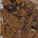 SALE | Freeze Dried Chili Soup | 2 oz | Wicked Good Foods