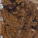 Freeze Dried Chili Soup | 2 oz | Pack of 2 | Wicked Good Foods