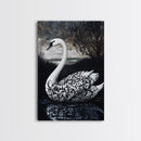 Elegant Gothic Swan Canvas Print | Framed Swan Poster Canvas | Wildlife Decor, animal prints, Swan Painting, Rustic Home Decor, Living Room Art