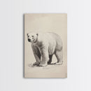 Polar Bear Canvas Print - Framed Canvas - Minimalist Christmas Art - Boho Christmas Art - Rustic Christmas Art