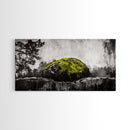 Mossy Rock, Abstract Nature, Green and Black Art, Canvas Print, Rustic Wall Decor, Boho Artwork, Modern Farmhouse Decor