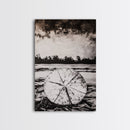 Lotus Reflection, Zen Wall Art, Black and White Nature Print, Minimalist Boho Decor, Meditative Aesthetic, Framed Canvas Print