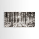 Winter Pine Forest, Sunlight Snow Trees, Nature Landscape Photography, Framed Canvas Print, Cabin Decor, Minimalist Wall Art
