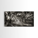 Oak Tree Path, Autumn Forest Glow, Nature Trail Photography, Framed Canvas Print, Hallway Wall Art, Earthy Decor, Woodland Art