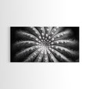 Cactus Spiral, Desert Bloom, Nature Closeup, Modern Decor, Framed Canvas Print, Minimalist Botanical Art, Office Wall Art, Succulent Texture
