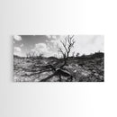 Barren Tree Landscape, Post Fire Terrain, Dystopian Forest Scene, Survival Mood, Canvas Print, Office Wall Art, Dark Nature Decor
