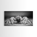 Hermit Crab, Close-Up, Ocean Creature, Monochrome Nature, Framed Canvas Print, Marine Wall Decor, Coastal Kitchen Wall Art, Entryway Accent