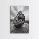 Sea Orb Rock, Coastal Texture, Ocean Shell Art, Framed Canvas Print, Beach House Wall Decor, Abstract Nature, Nautical Art Piece
