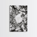 Forest Canopy View, Tree Tops Art, Nature Sky Print, Framed Canvas Print, Bedroom Wall Art, Minimalist Nature, Modern Rustic Decor