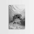 Underwater Fish, Ocean Predator, Aquatic Wildlife, Canvas Print, Bathroom Wall Art, Coastal Nautical Decor, Marine Photography
