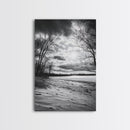 Dramatic Beach Sunset, Bare Trees Silhouette, Nature Photography, Framed Canvas Print, Fall Wall Art, Entryway Decor, Rustic Minimalist