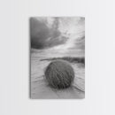 Tumbleweed Dune, Windy Coast, Desert Beach, Canvas Print, Boho Wall Art, Autumn Nature Decor, Minimalist Western Photography