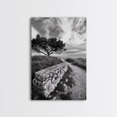 Coastal Path, Nature Trail, Windswept Tree, Framed Canvas Print, Rustic Landscape Art, Minimalist Decor, Bedroom Wall Art, Fall Vibes