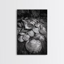 Seashell Pile, Textured Beach, Coastal Treasures, Natural Beauty Framed Canvas Print, bathroom decor, shell art, beach wall style