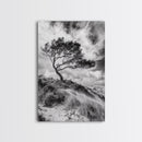 Windswept Tree, Coastal Landscape, Stormy Sky, Framed Canvas Print, Modern Rustic Wall Art, Nature Photography, Bedroom Wall Accent