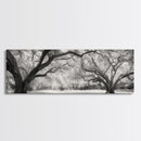 Sprawling Trees, Oak Forest, Sunlit Canopy, Majestic Branches, Canvas Print, Nature Wall Art, Boho Decor, Living Room Statement Piece