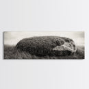 Heather Rock, Grassy Field, Natural Simplicity, Earthy Tones, Canvas Print, Rustic Home Decor, Minimalist Nature Wall Art, Fall Inspired Art