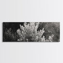 Frosted Bush, Winter Plant, Nature Closeup, Framed Canvas Print, Botanical Wall Art, Neutral Bedroom Decor, Rustic Autumn Style