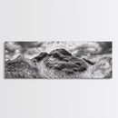 Windswept Dune Trail, Dramatic Sky, Nature Path, Beach Landscape, Framed Canvas Print, Rustic Wall Art, Fall Decor, Bedroom Art, Boho Vibes