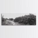 Wild Apple Path, Nature Overgrowth, Autumn Orchard Trail, Canvas Print, Fall Farmhouse Kitchen Art, Rustic Seasonal Wall Decor