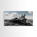 Weathered Stump, Desert Roots, Rugged Nature, Textured Wall Art, Canvas Print, Masculine Office Decor, Western Wall Accent, Rustic Charm