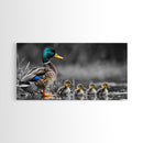 Duck Family, Pond Life, Nature Scene, Wildlife Photography, Canvas Print, Nursery Wall Art, Cute Animal Print, Nature Lover Gift Idea