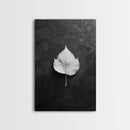 Monochrome Leaf, Nature Minimal, Still Life, Moody Art, Framed Canvas Print, Fall Wall Art, Kitchen Decor, Neutral Modern Aesthetic