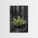Green Fern, Forest Focus, Lush Nature, Woodland Light, Framed Canvas Print, Botanical Wall Art, Bedroom Decor, Minimalist Plant Art