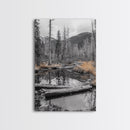 Forest Pond, Moody Woods, Black and White, Autumn Grass, Framed Canvas Print rustic cabin art, nature wall decor, woodland living room art