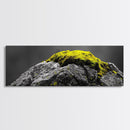 Yellow Moss, Stone Detail, Minimal Nature, Framed Canvas Print, modern zen wall art, earthy bathroom decor, botanical accent