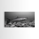 Trout, Fly Fishing Art, Rustic Decor, Coastal Wall Art, Lake Tahoe Art, Fishing Art, Nautical Painting, Framed Canvas Print