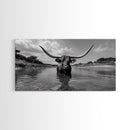 Longhorn in Water, rustic art, western decor, bull and bear art, cowboy wall art, farmhouse art, panoramic art, Framed Canvas Print