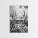 Windblown Trees, stormy sky, moody landscape, wabi sabi art, black and white, framed canvas print, rustic decor, nature photography