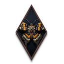 Vibrant moth specimen in symmetrical display Canvas Embossed Print with witchy gothic charm and Diamond Shaped Art presentation