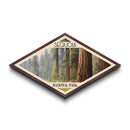 Sequoia National Park Travel Poster Canvas Texture Print, Travel Decor, Midcentury Modern Retro Decor California Landscape