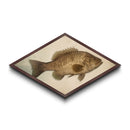 Realistic Bass Profile – Diamond Shaped Canvas Embossed Print, Angler Cabin Decor, Fishing Enthusiast Gift, Masculine Wall Art