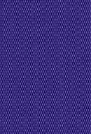 Solid Purple