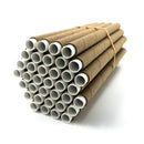 Spring Cardboard BeeTubes and Inserts for Mason Bees - 8mm (Sold Out)