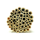 Summer Natural Reeds for Summer Leaf Bees - 6mm