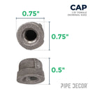 1/8 in. Black Cap
