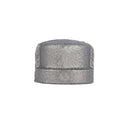 1/4 in. Black Cap